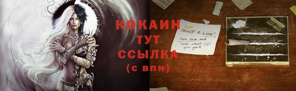 дмт Елабуга