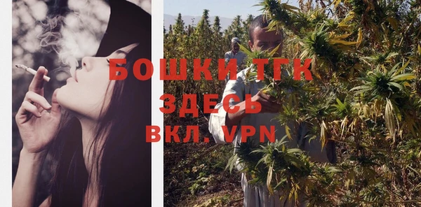 дмт Елабуга