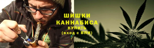 дмт Елабуга